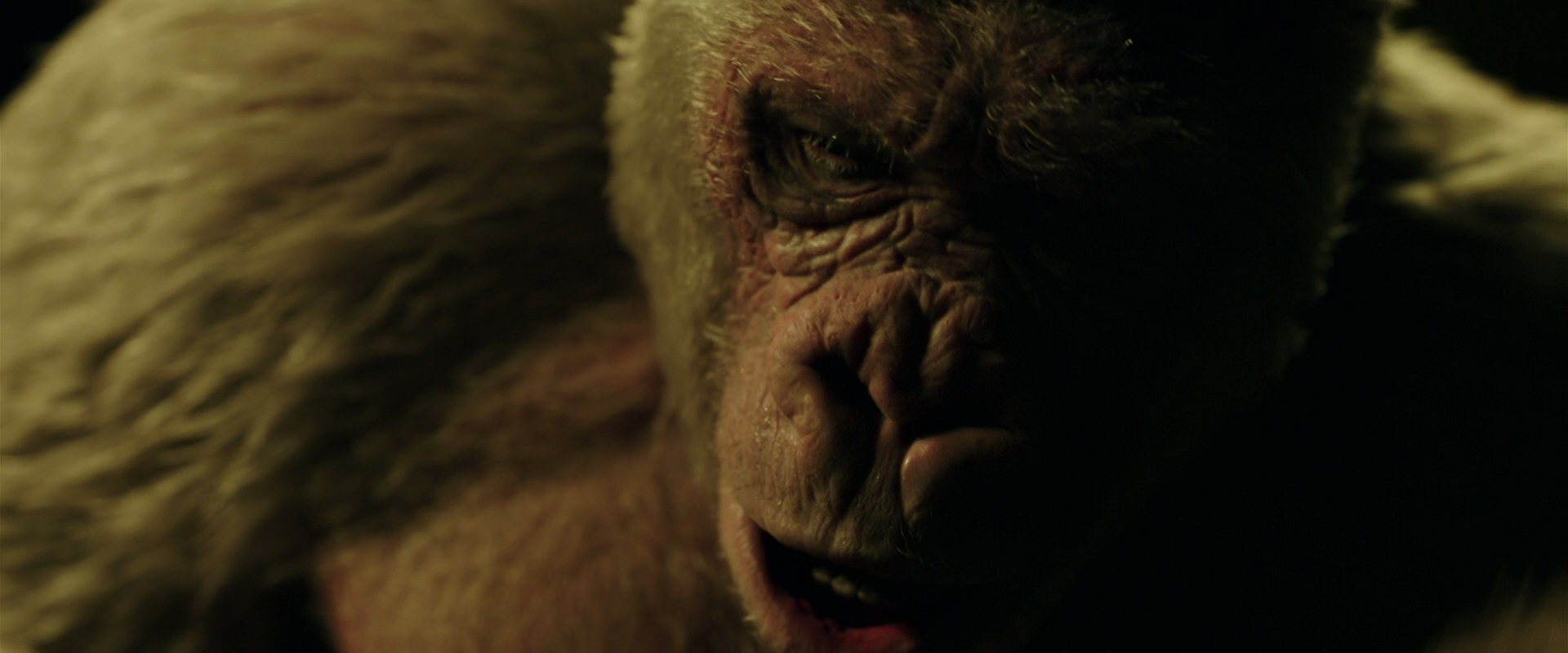 War for the Planet of the Apes (2017) screencap 4137