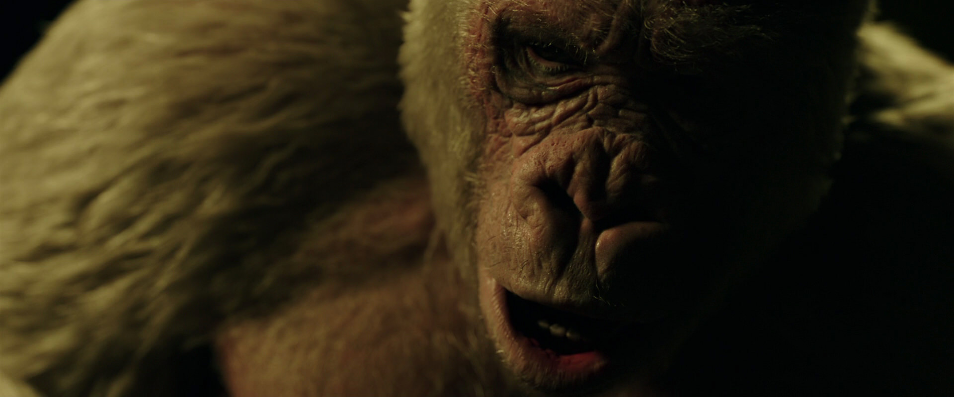 War for the Planet of the Apes (2017) movie still 4138