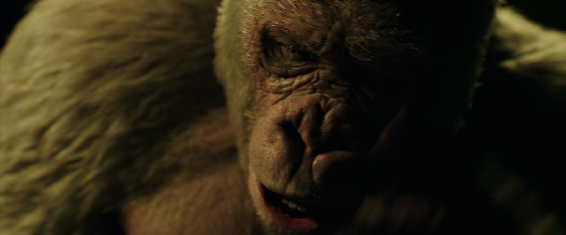 War for the Planet of the Apes (2017) HD screenshot 4139