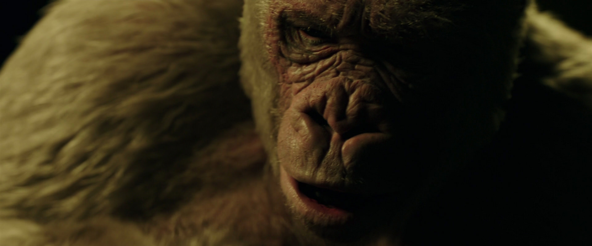 War for the Planet of the Apes (2017) screencap 4140