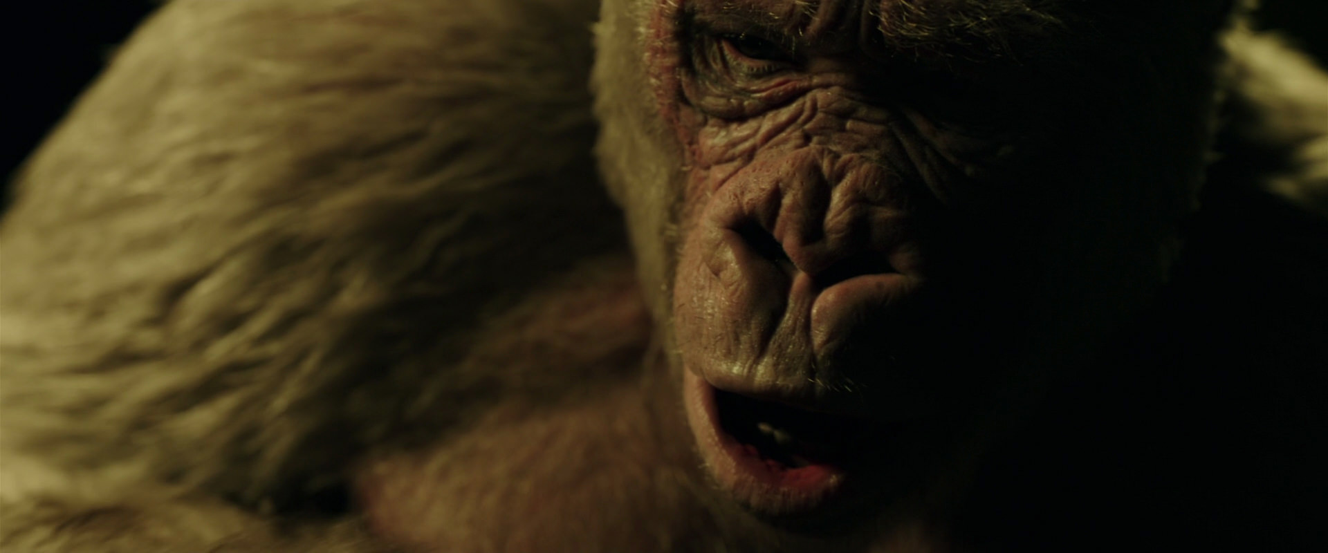 War for the Planet of the Apes (2017) movie still 4141