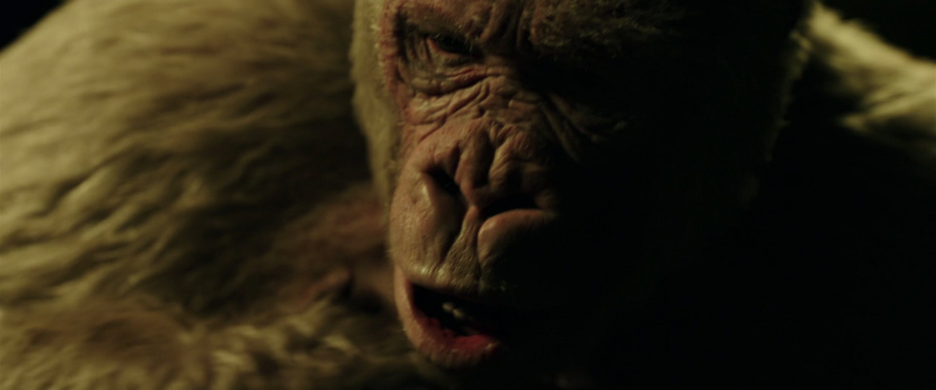 War for the Planet of the Apes (2017) HD screenshot 4142