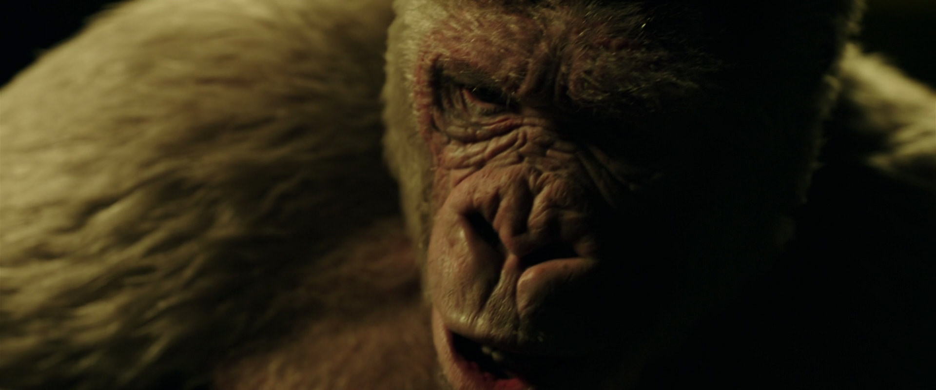 War for the Planet of the Apes (2017) screencap 4143