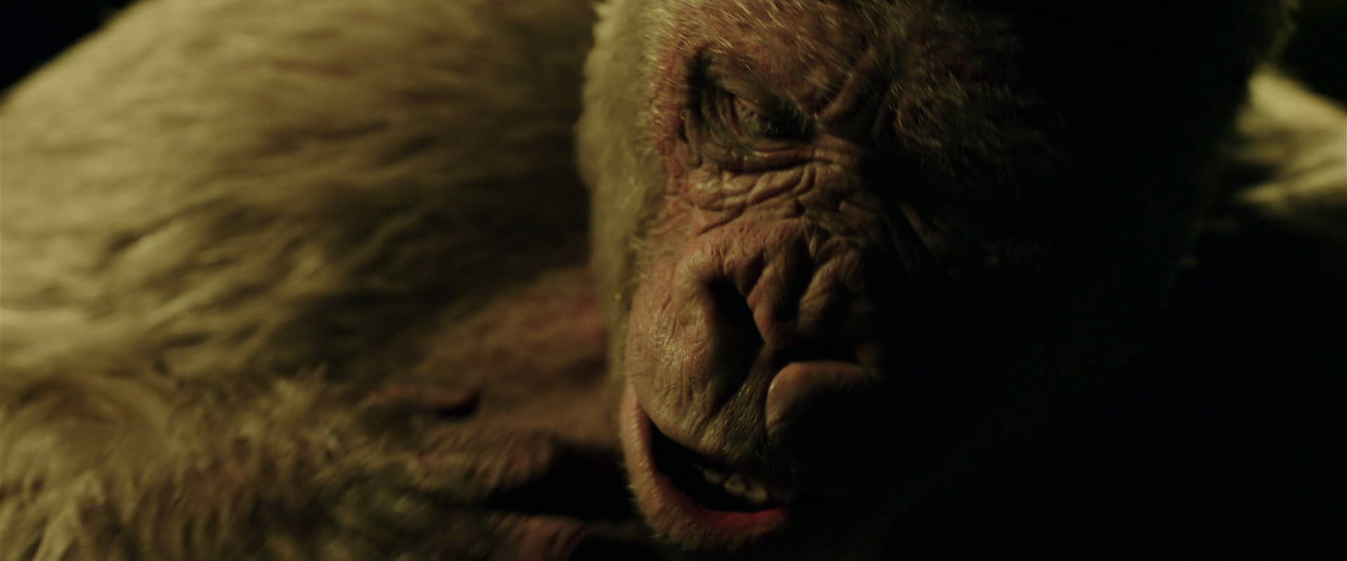 War for the Planet of the Apes (2017) movie still 4144