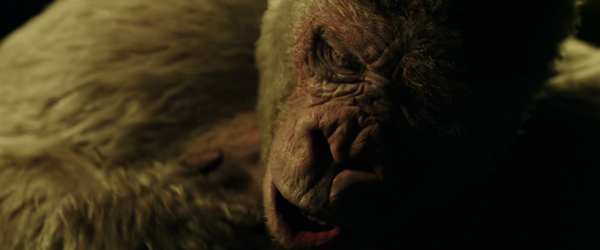 War for the Planet of the Apes (2017) HD screenshot 4145