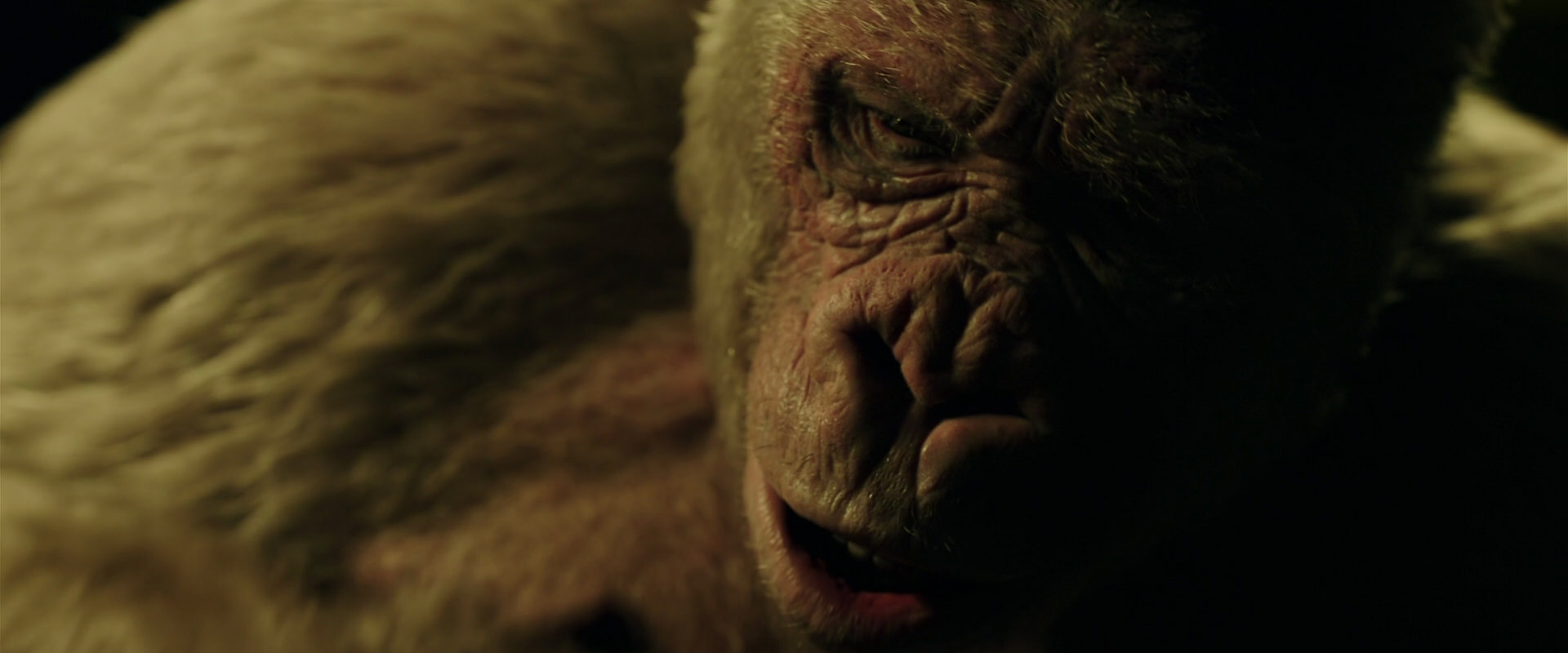 War for the Planet of the Apes (2017) screencap 4146