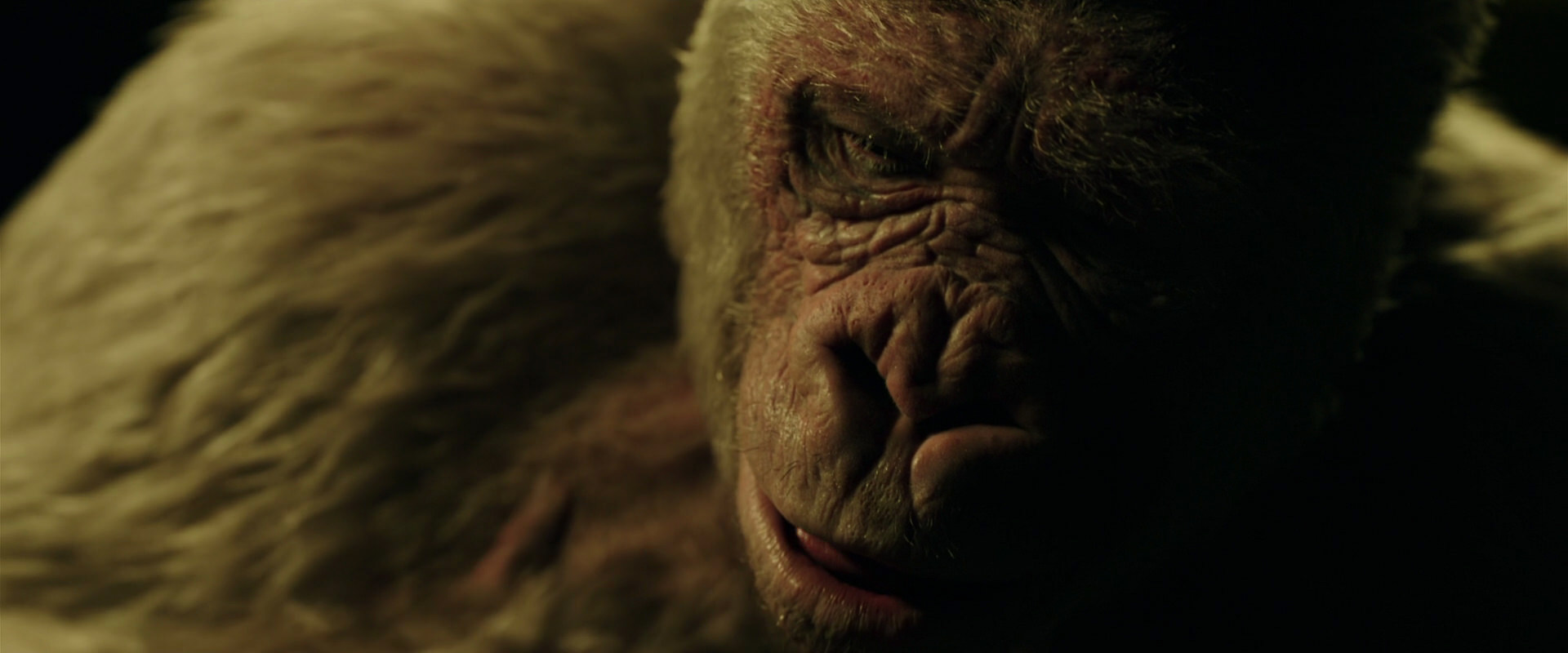 War for the Planet of the Apes (2017) movie still 4147