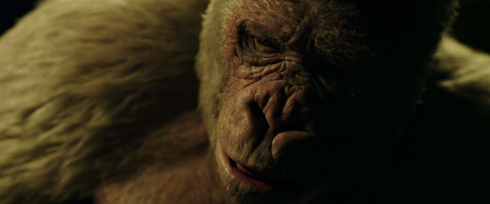 War for the Planet of the Apes (2017) HD screenshot 4148