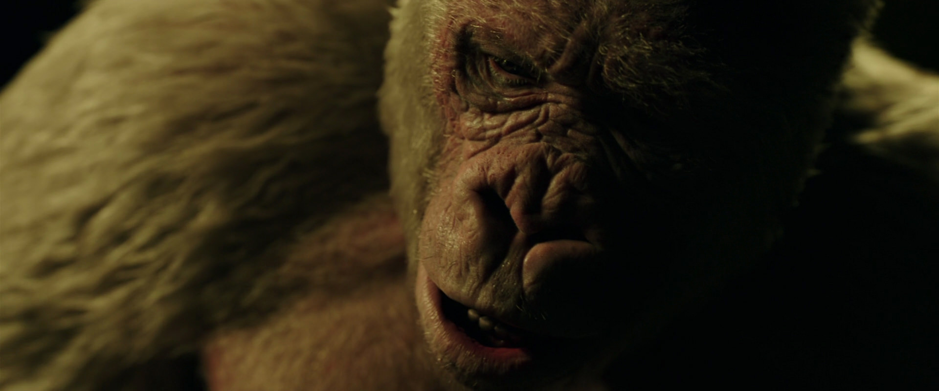 War for the Planet of the Apes (2017) screencap 4149