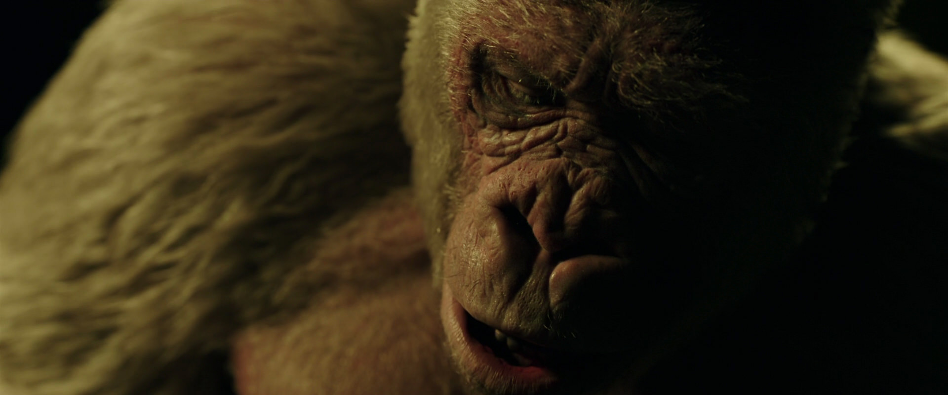 War for the Planet of the Apes (2017) movie still 4150