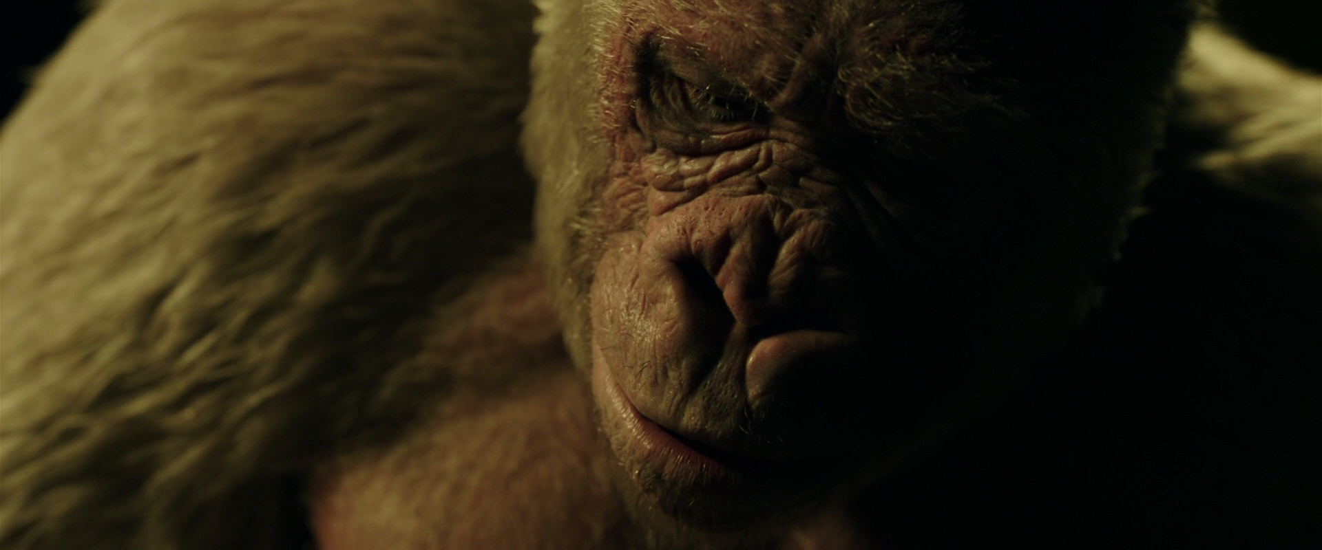 War for the Planet of the Apes (2017) HD screenshot 4151