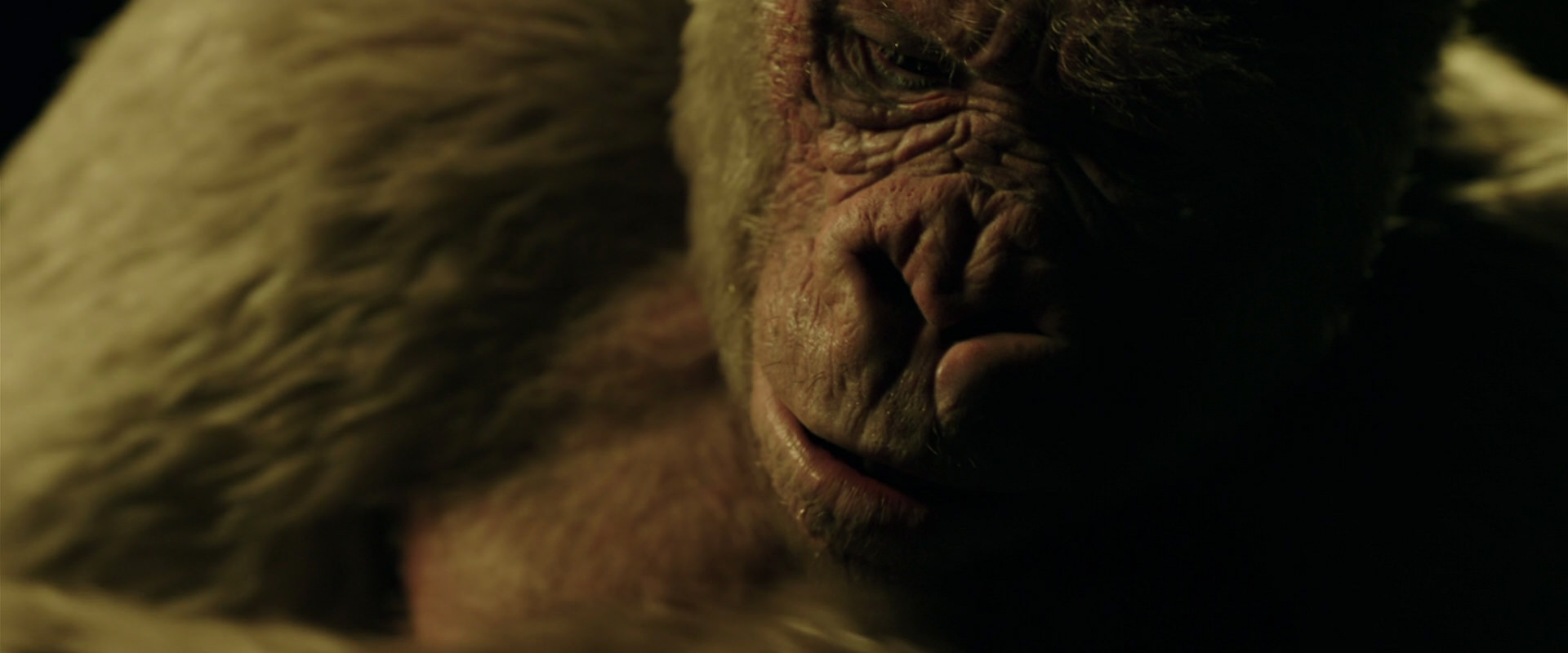 War for the Planet of the Apes (2017) screencap 4152