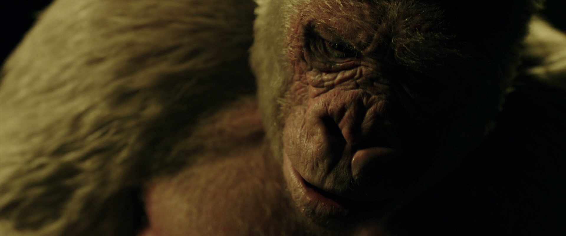 War for the Planet of the Apes (2017) movie still 4153
