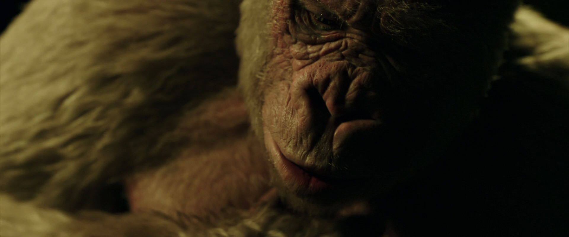 War for the Planet of the Apes (2017) HD screenshot 4154