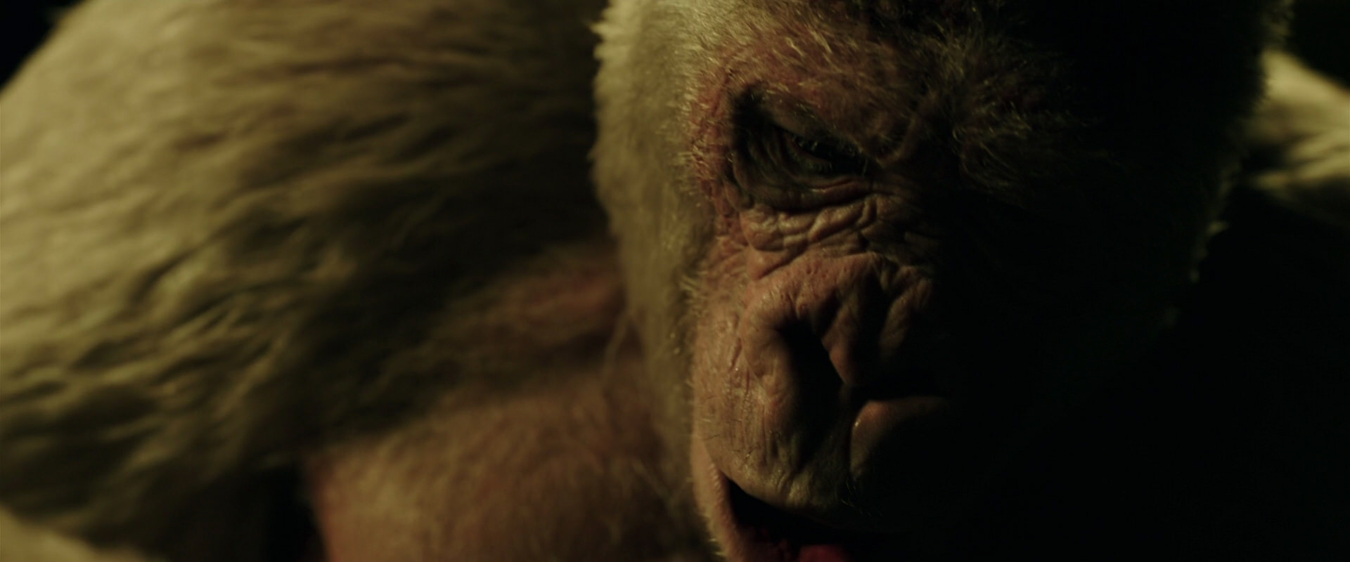 War for the Planet of the Apes (2017) screencap 4155