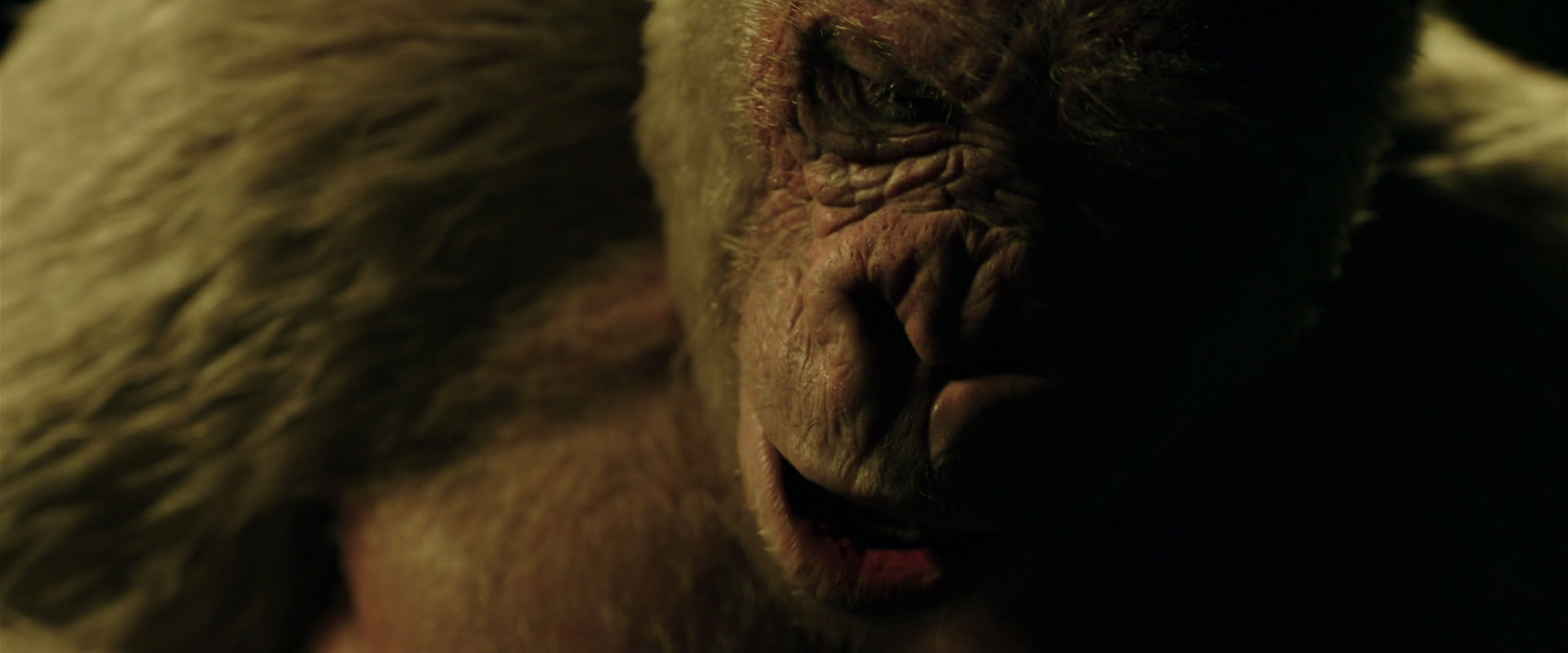 War for the Planet of the Apes (2017) movie still 4156