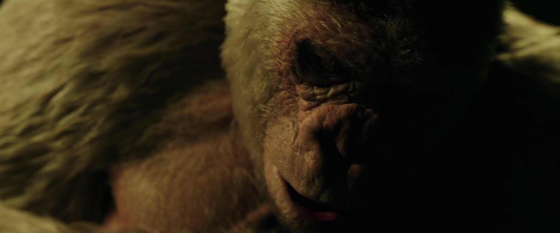 War for the Planet of the Apes (2017) HD screenshot 4157