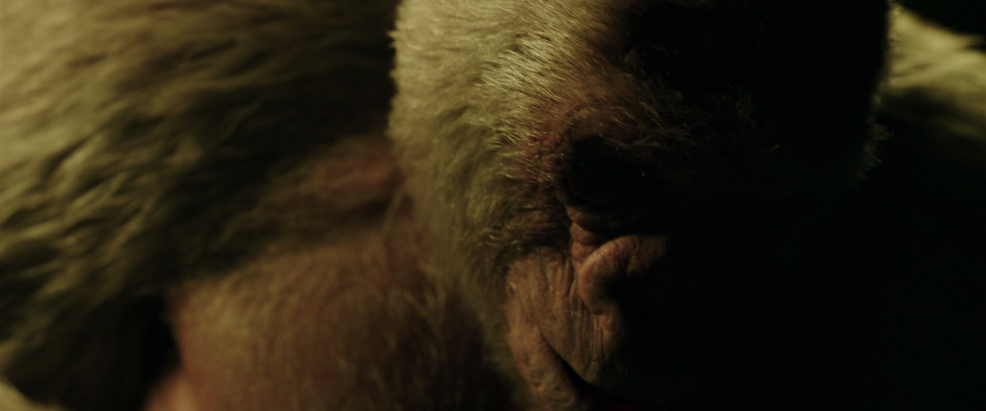 War for the Planet of the Apes (2017) screencap 4158