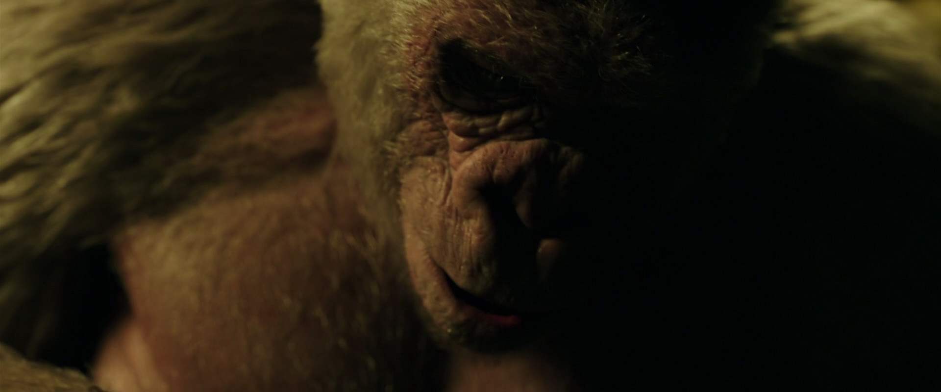War for the Planet of the Apes (2017) movie still 4159
