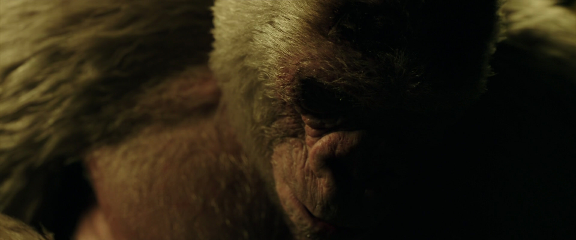 War for the Planet of the Apes (2017) HD screenshot 4160