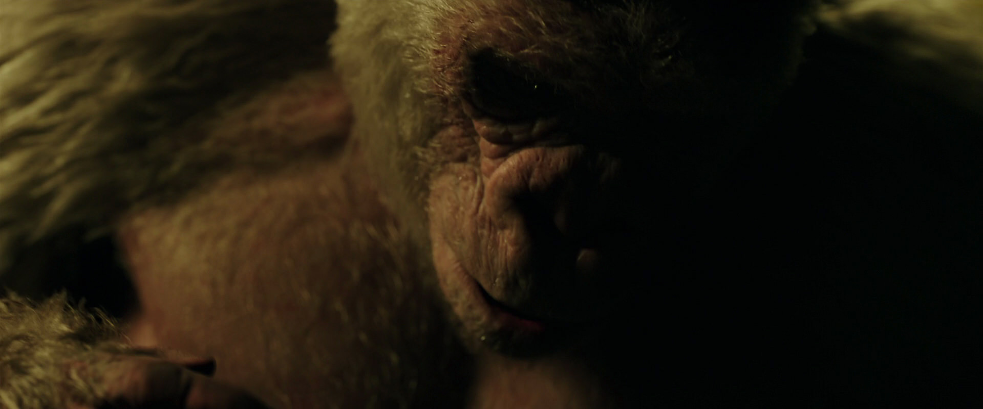 War for the Planet of the Apes (2017) screencap 4161
