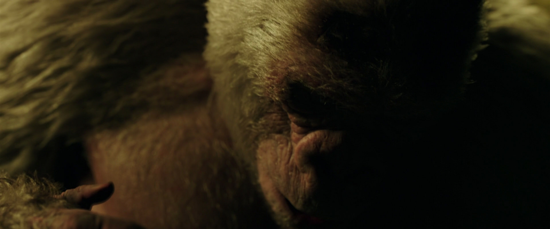 War for the Planet of the Apes (2017) movie still 4162