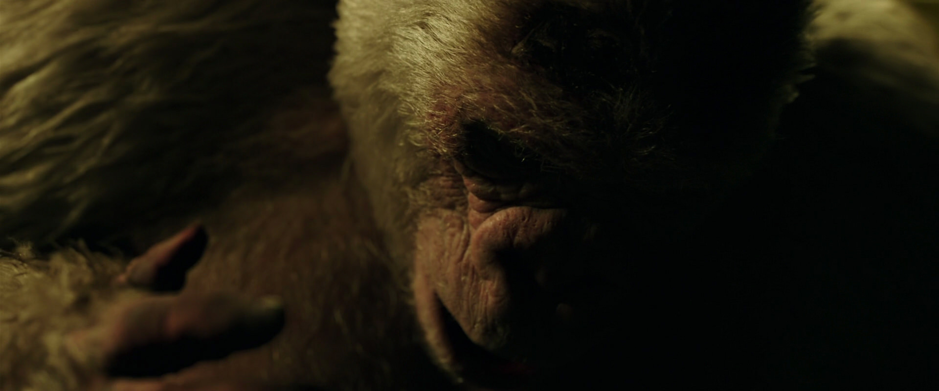 War for the Planet of the Apes (2017) HD screenshot 4163