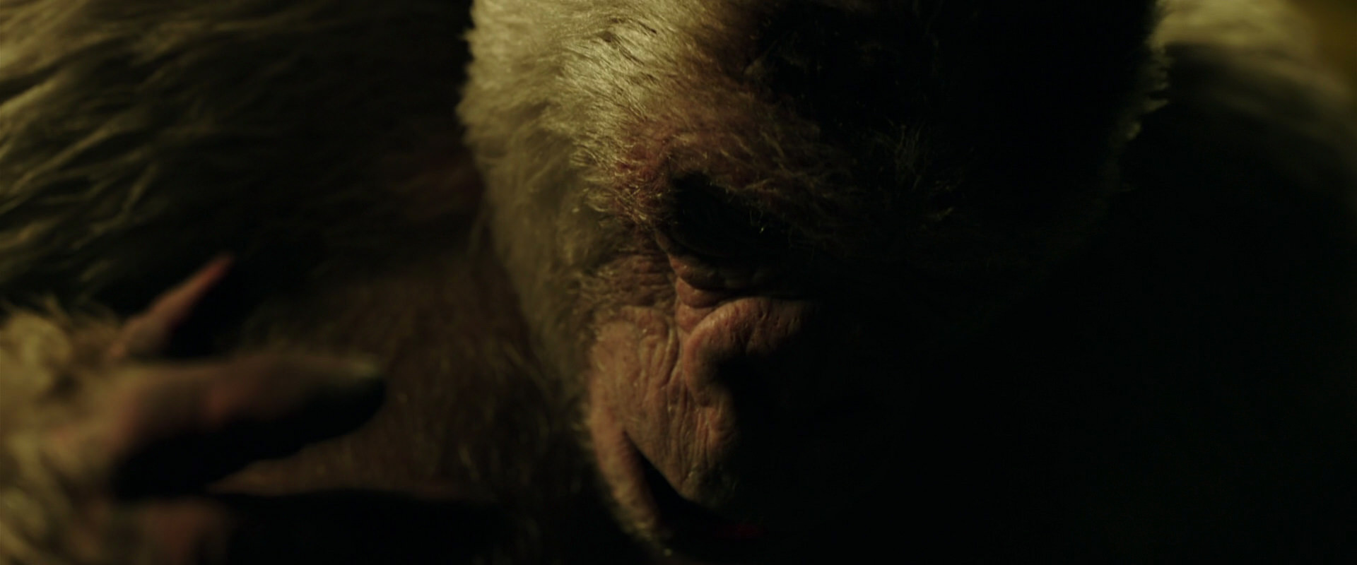 War for the Planet of the Apes (2017) screencap 4164