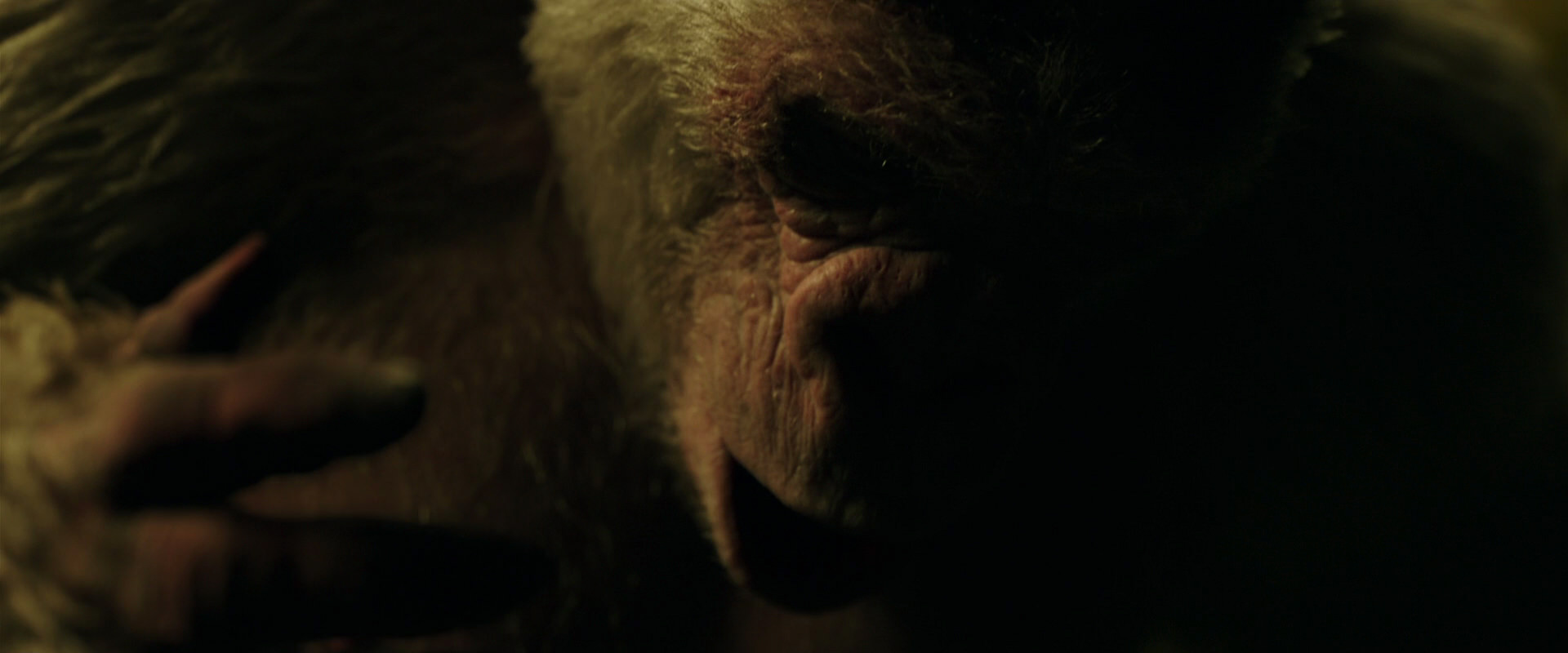 War for the Planet of the Apes (2017) movie still 4165