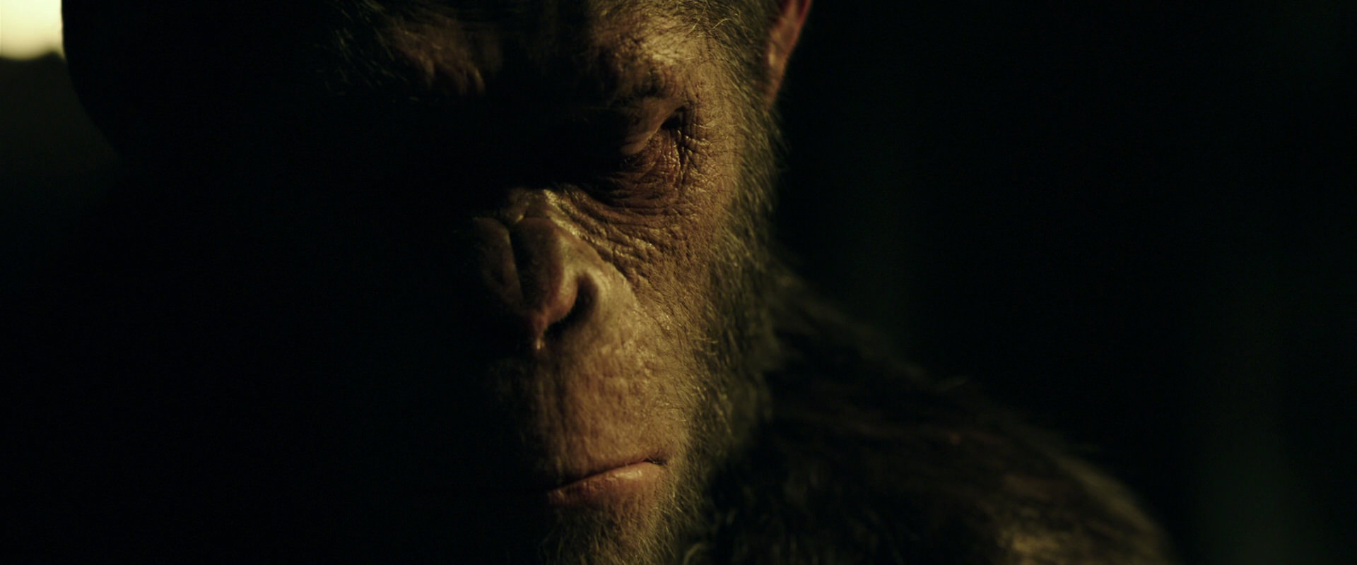 War for the Planet of the Apes (2017) screencap 4167