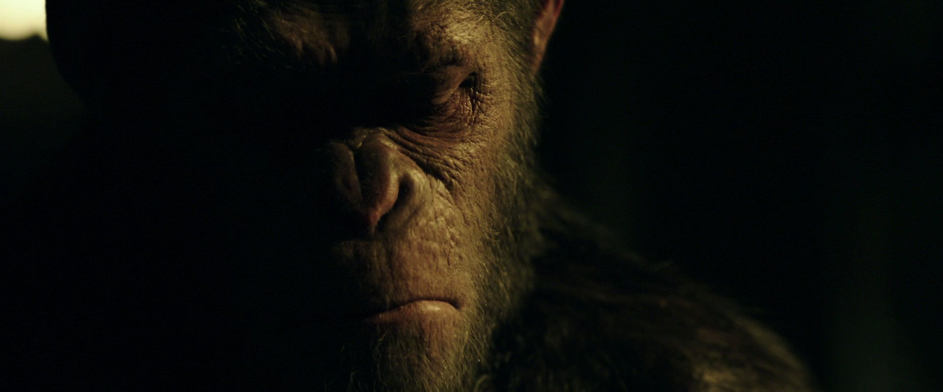 War for the Planet of the Apes (2017) movie still 4168
