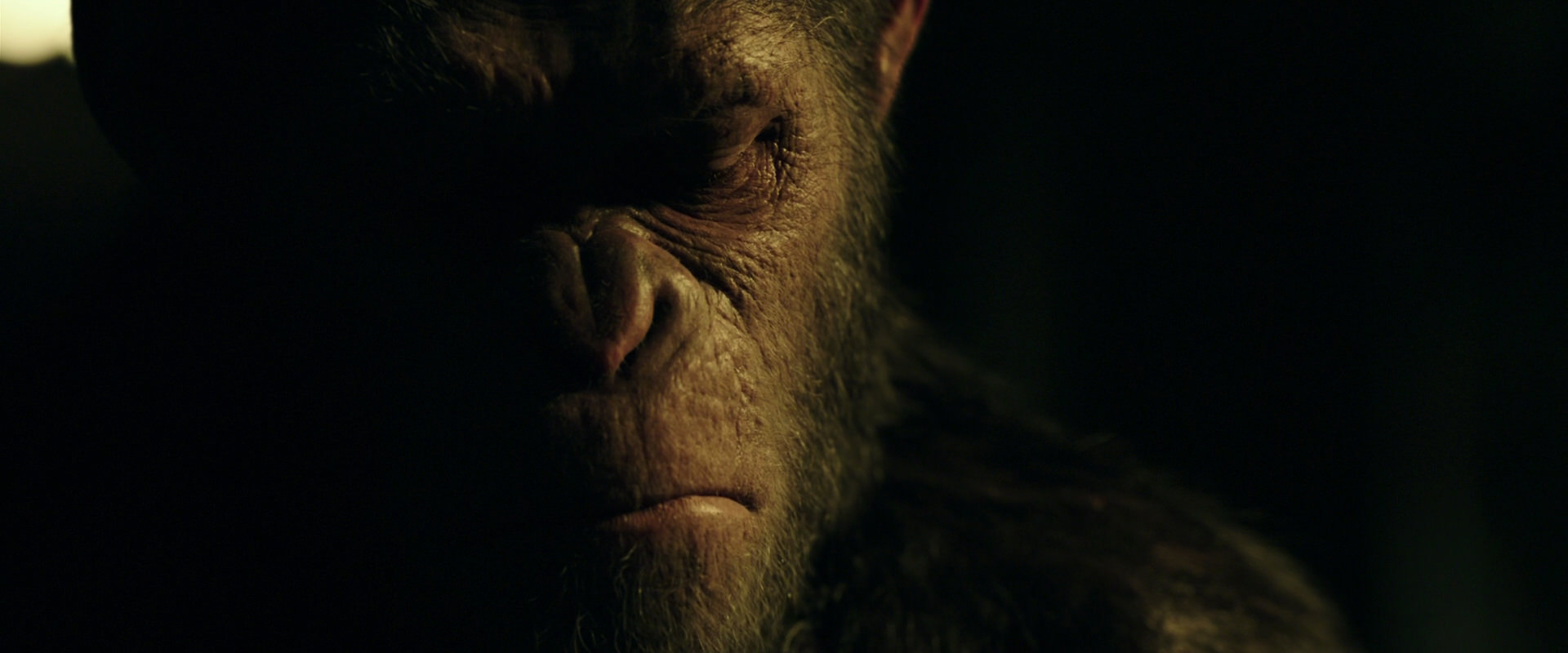 War for the Planet of the Apes (2017) HD screenshot 4169