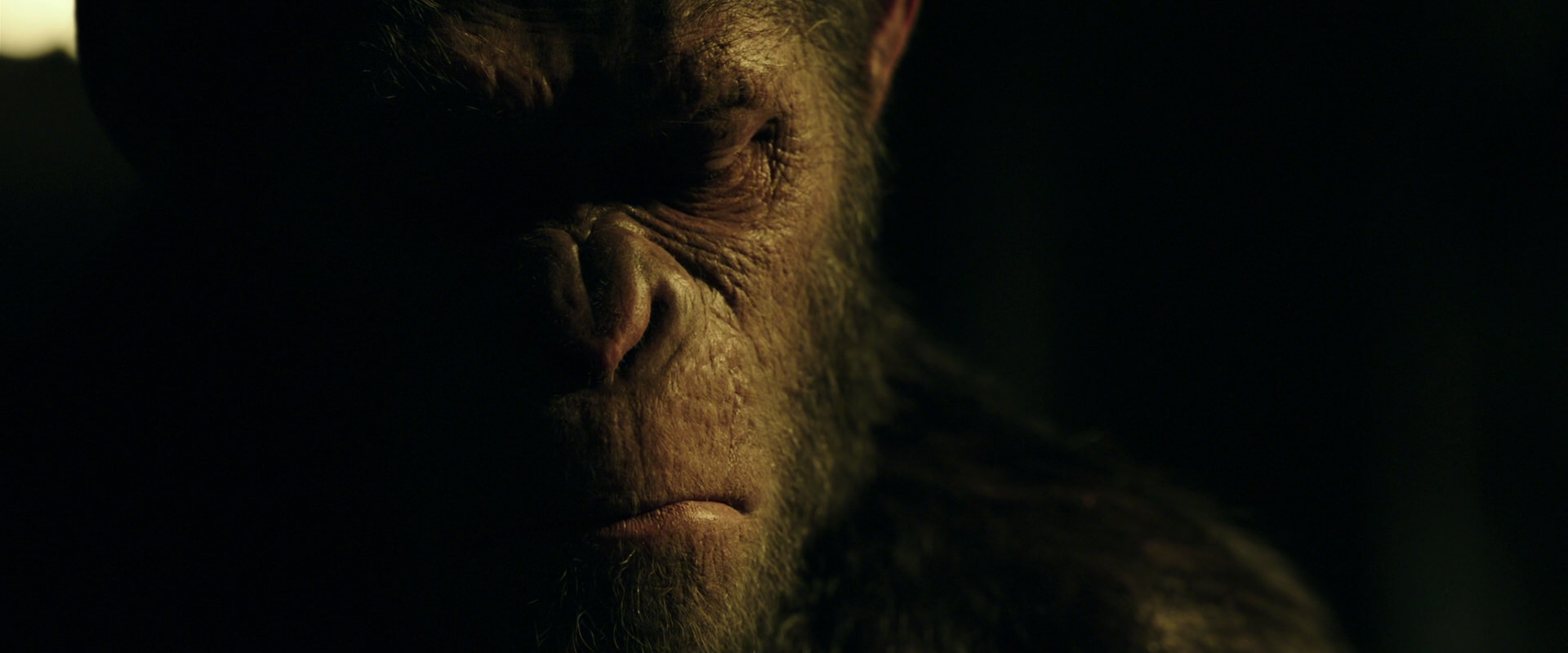 War for the Planet of the Apes (2017) movie still 4171