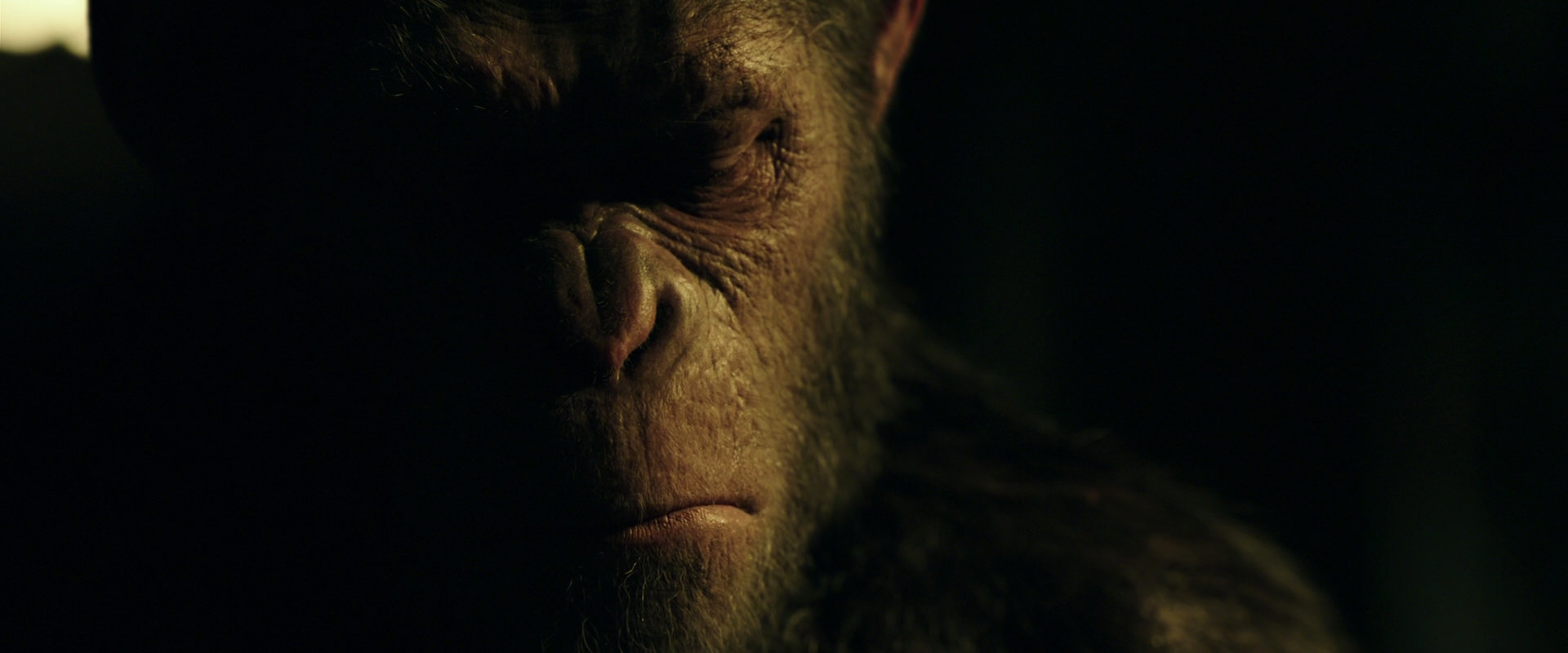 War for the Planet of the Apes (2017) HD screenshot 4172