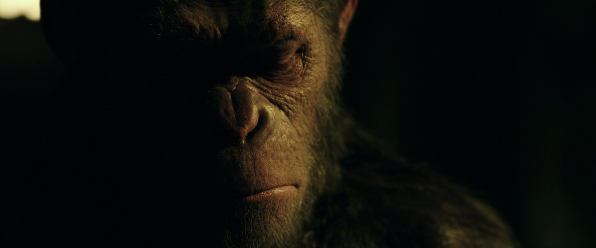 War for the Planet of the Apes (2017) screencap 4173