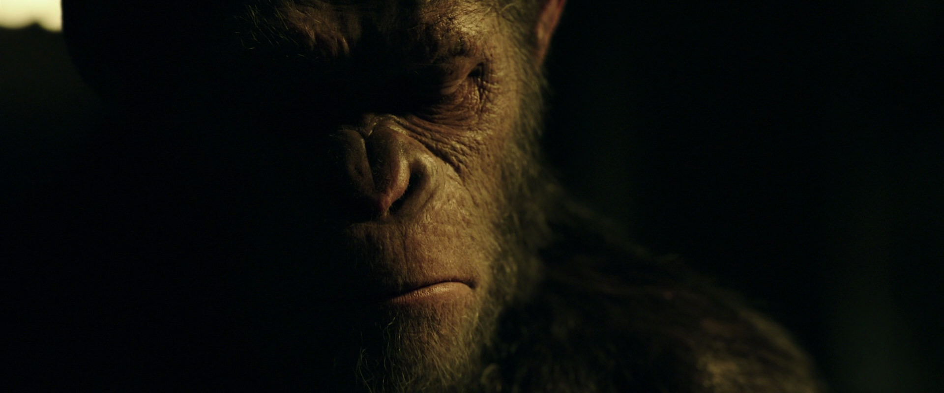 War for the Planet of the Apes (2017) movie still 4174