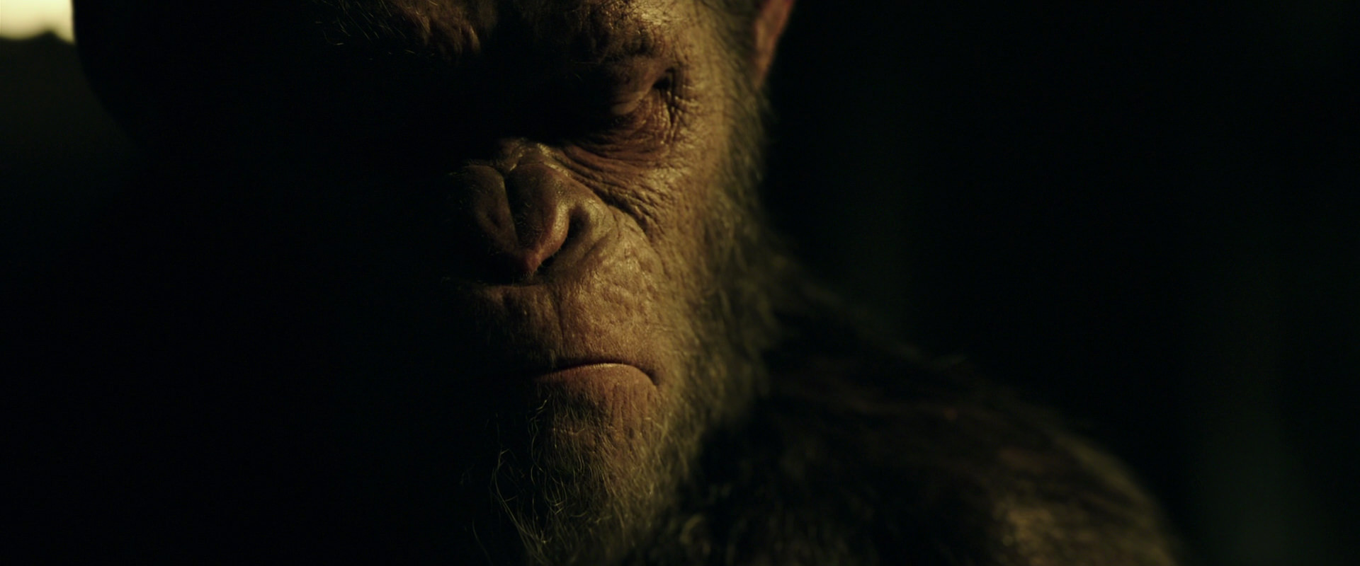 War for the Planet of the Apes (2017) HD screenshot 4175