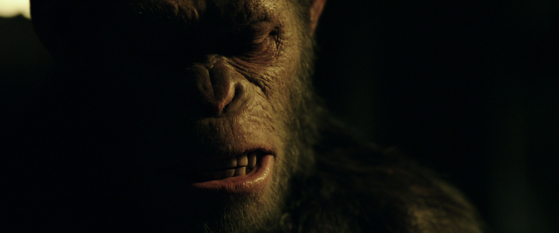 War for the Planet of the Apes (2017) screencap 4176