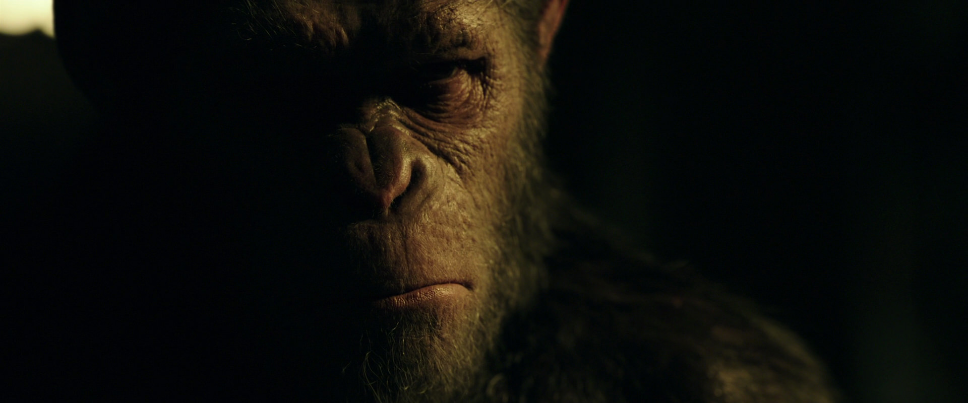 War for the Planet of the Apes (2017) movie still 4177