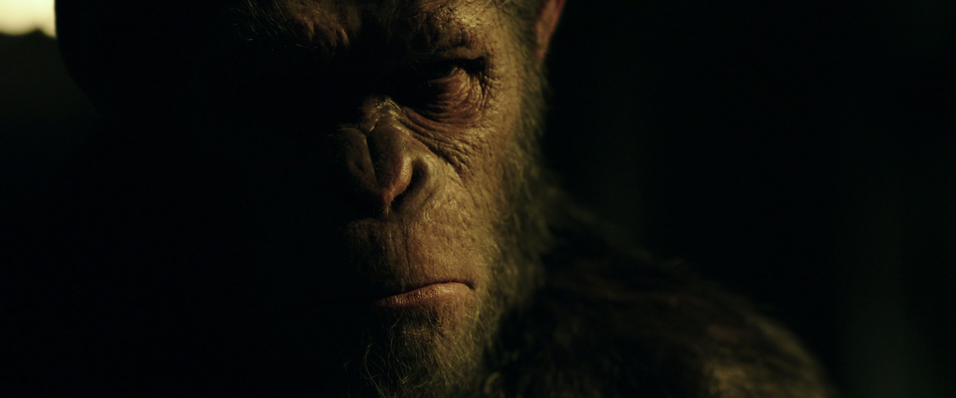 War for the Planet of the Apes (2017) HD screenshot 4178