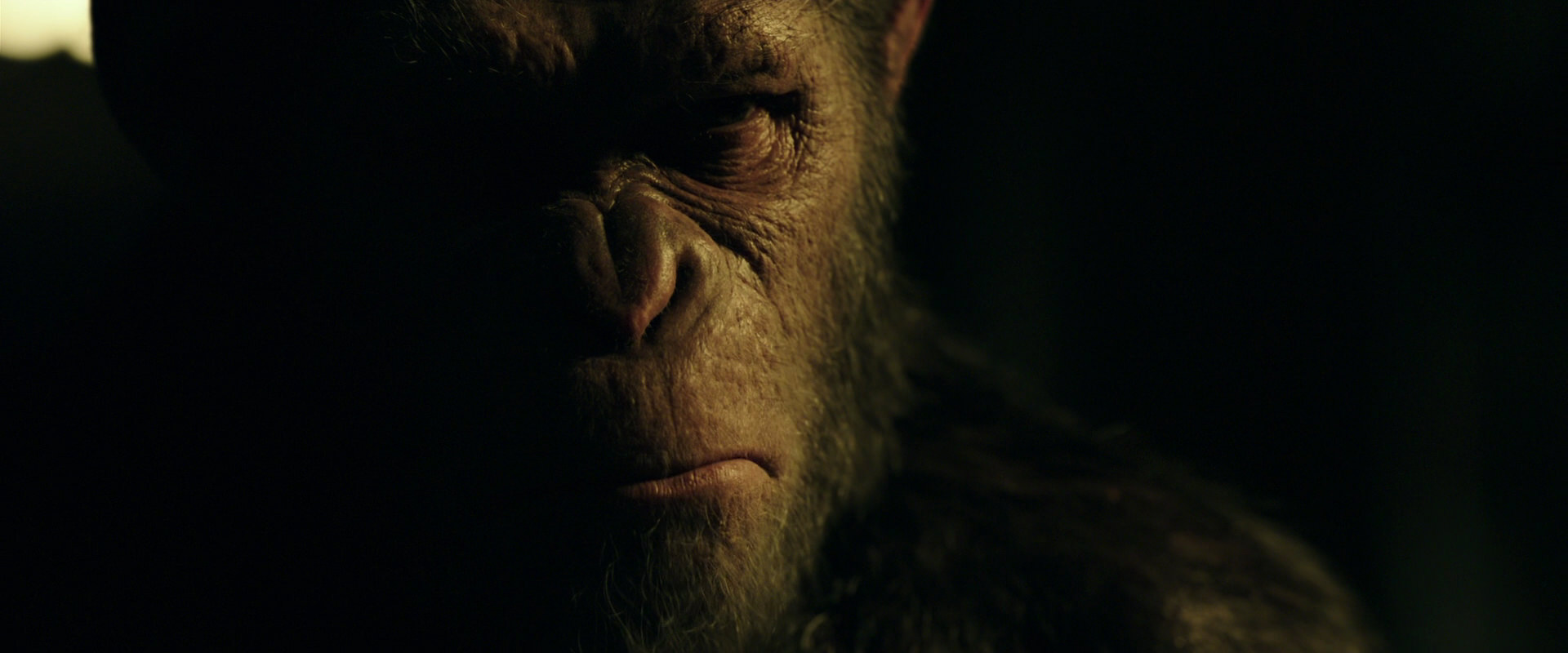 War for the Planet of the Apes (2017) screencap 4179