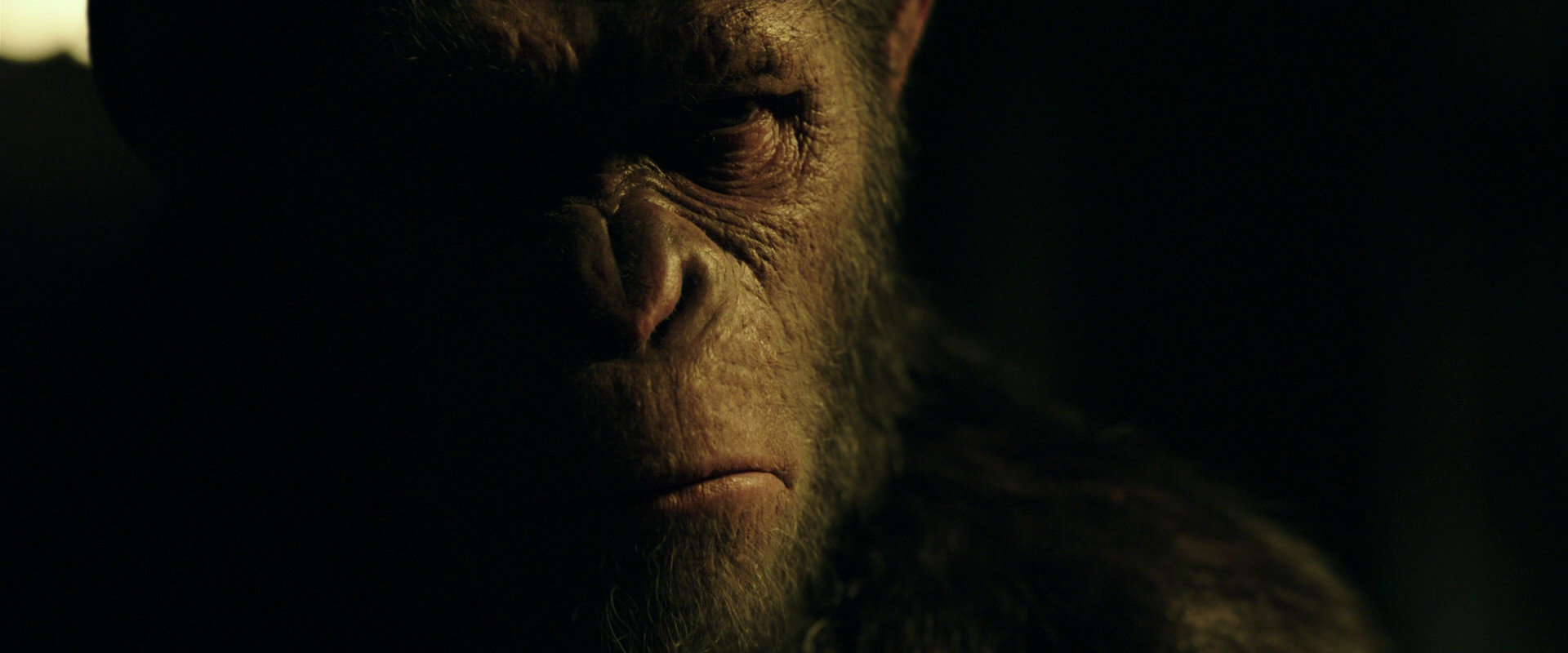 War for the Planet of the Apes (2017) movie still 4180
