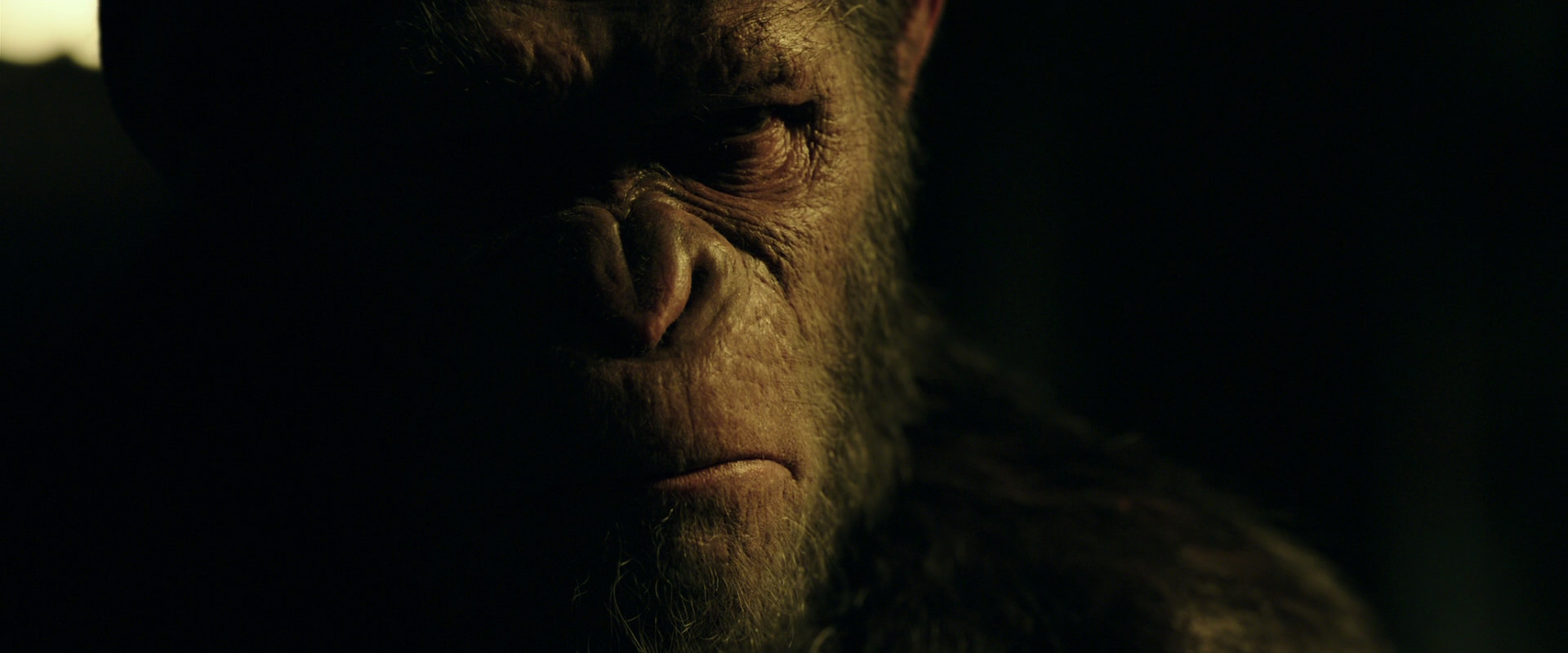 War for the Planet of the Apes (2017) screencap 4182