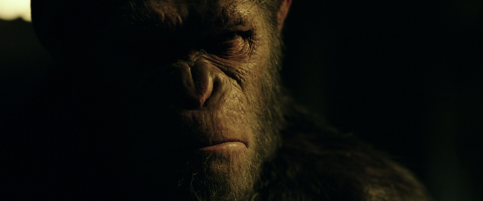 War for the Planet of the Apes (2017) movie still 4183