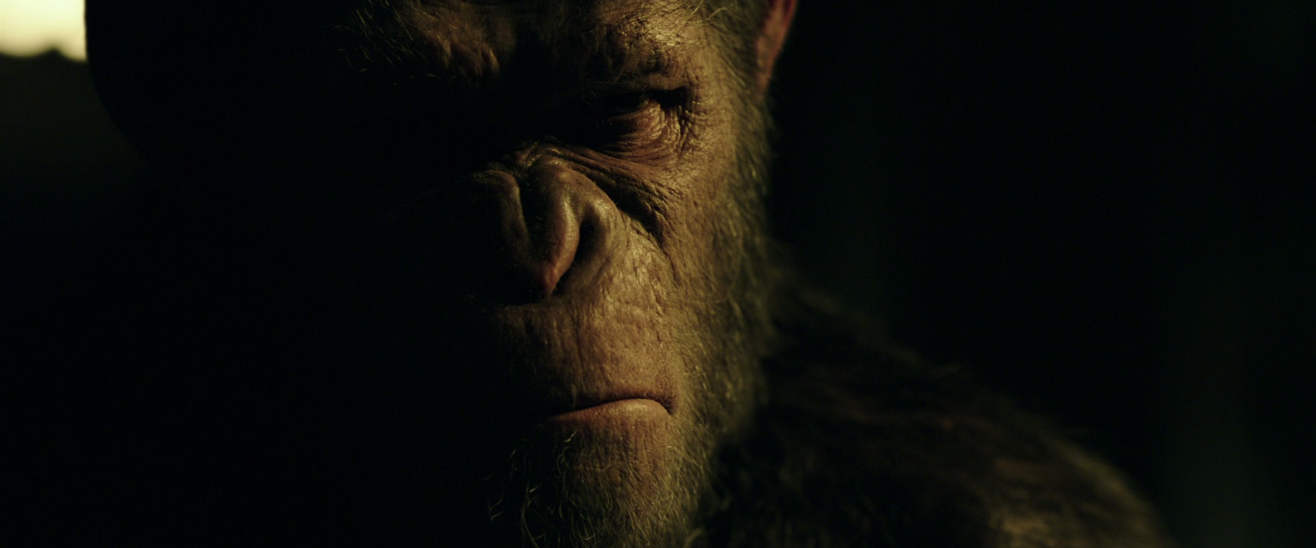 War for the Planet of the Apes (2017) HD screenshot 4184