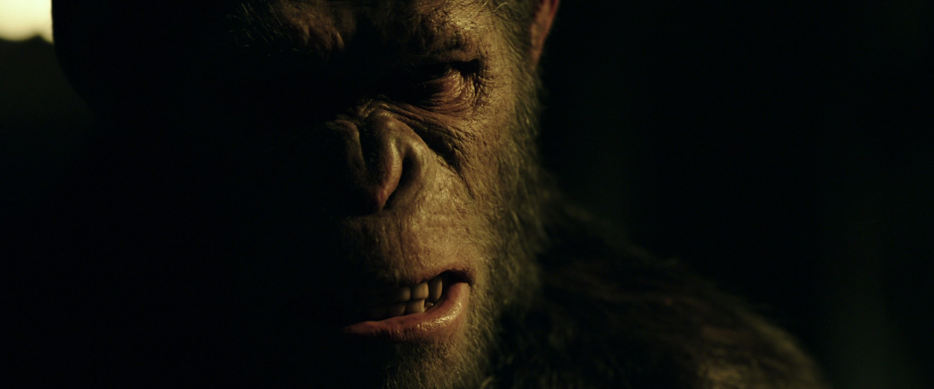 War for the Planet of the Apes (2017) screencap 4185