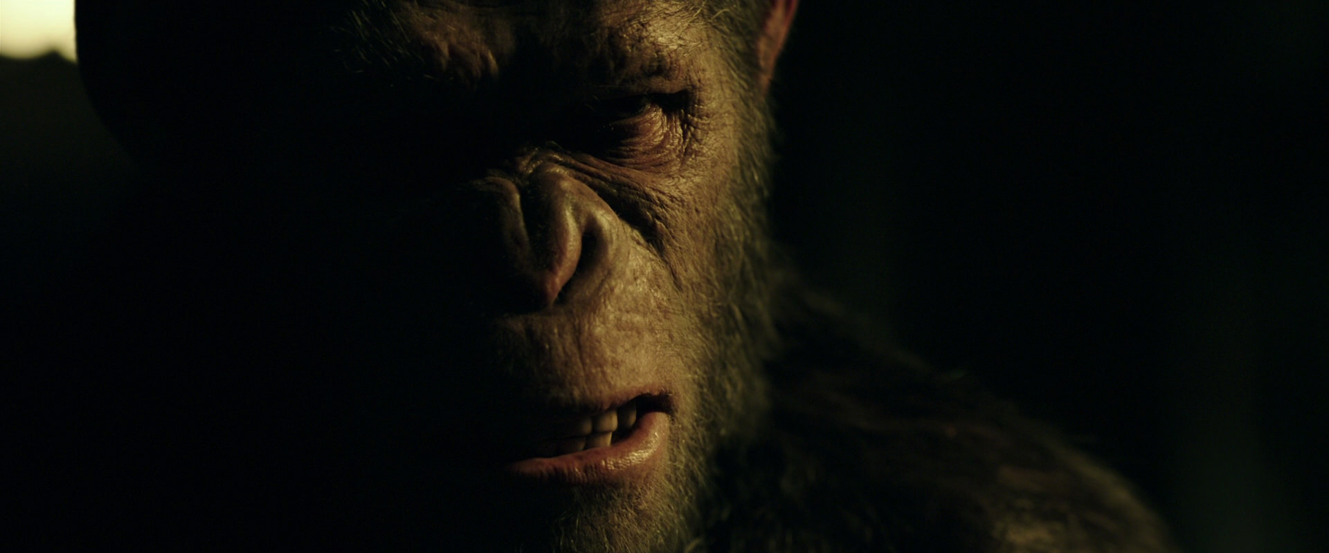 War for the Planet of the Apes (2017) movie still 4186