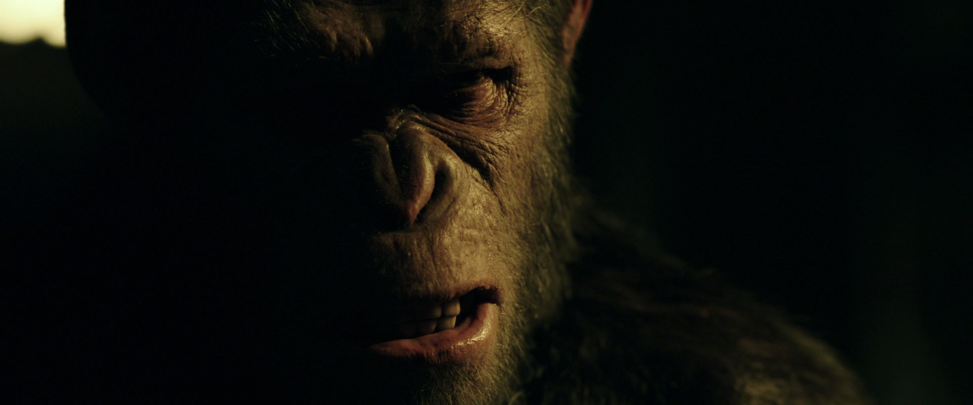 War for the Planet of the Apes (2017) screencap 4188