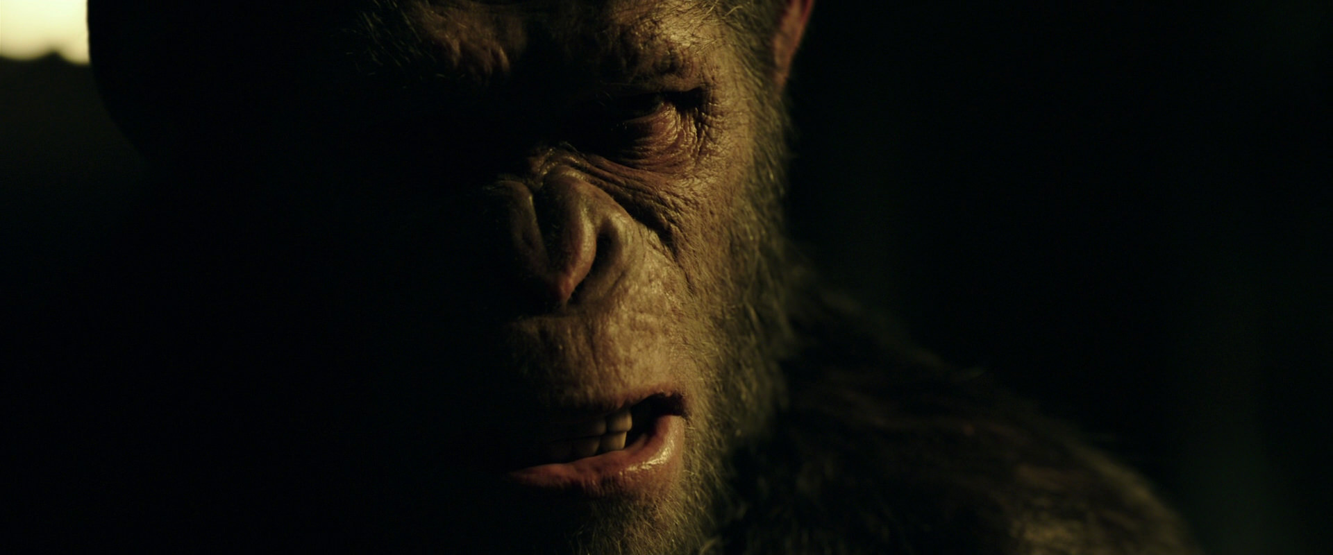 War for the Planet of the Apes (2017) movie still 4189
