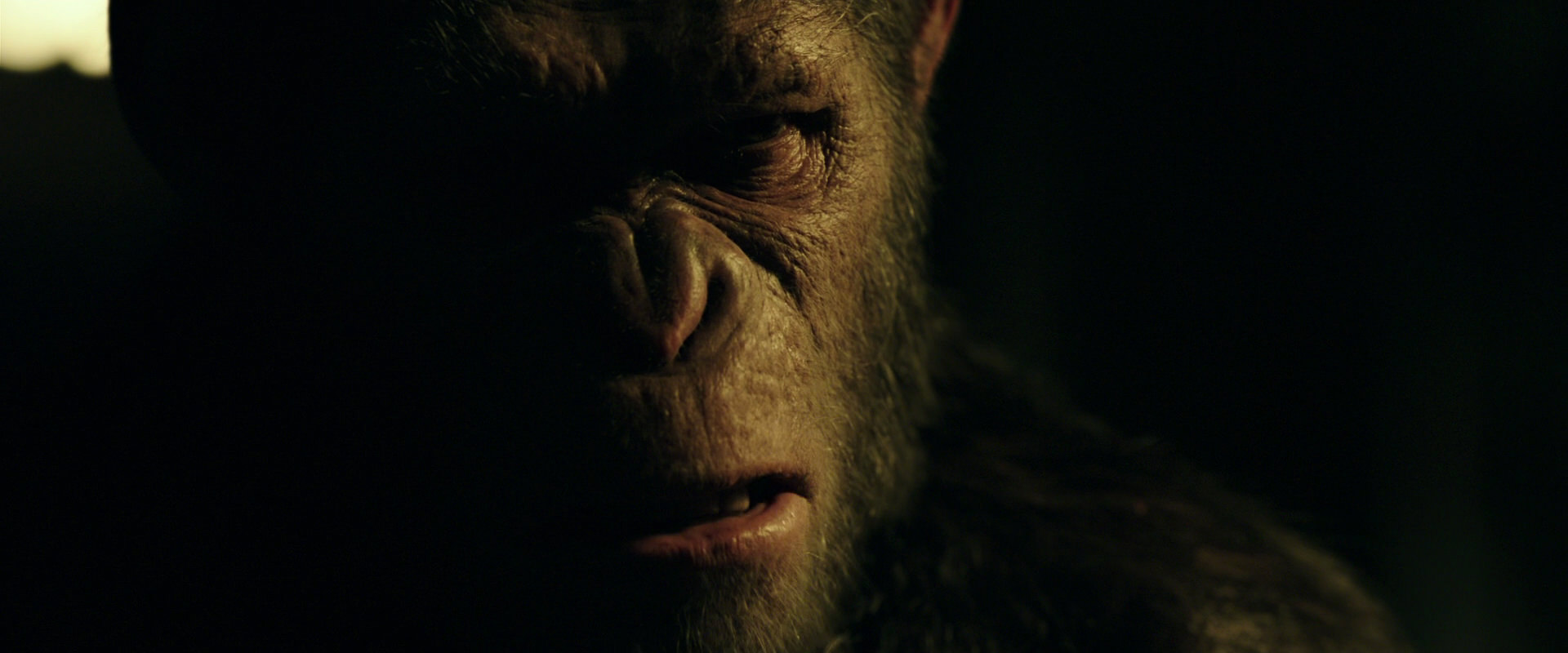 War for the Planet of the Apes (2017) HD screenshot 4190